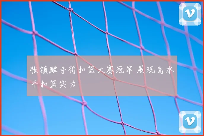 张镇麟夺得扣篮大赛冠军 展现高水平扣篮实力