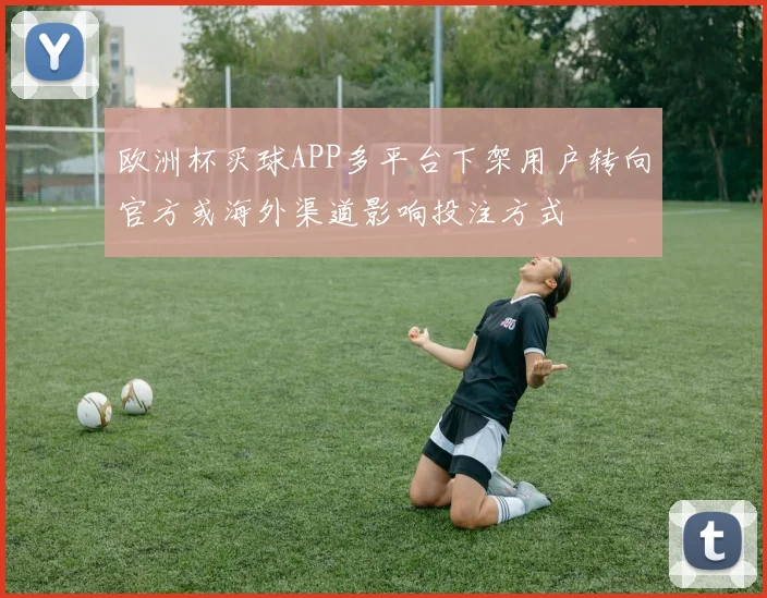 欧洲杯买球APP多平台下架用户转向官方或海外渠道影响投注方式